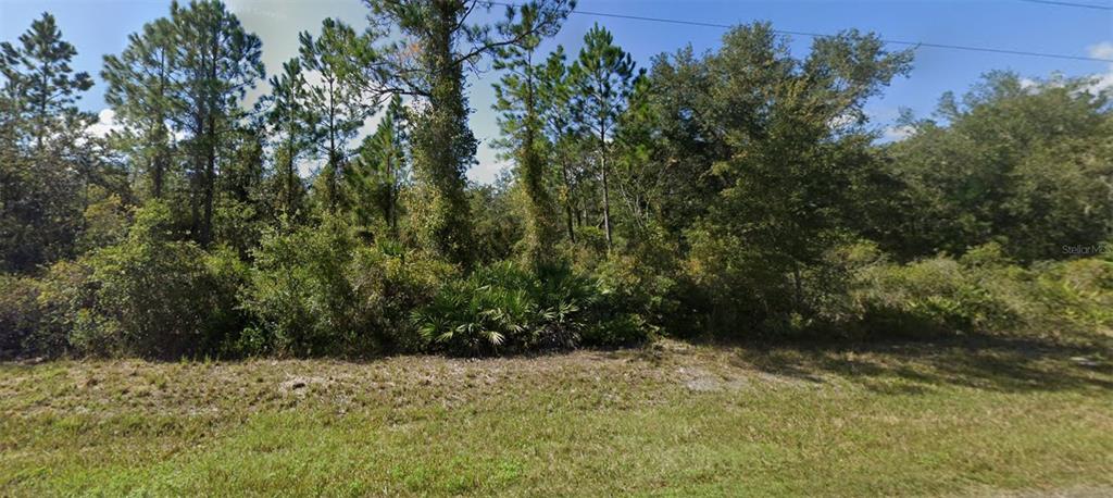 A wooded, undeveloped lot features a mix of tall pine trees and dense ground vegetation — 0 NE 64TH AVENUE, CITRA, FL