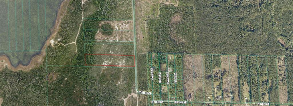 An aerial map view shows a rectangular parcel of land outlined in red near roads — 0 NE 64TH AVENUE, CITRA, FL
