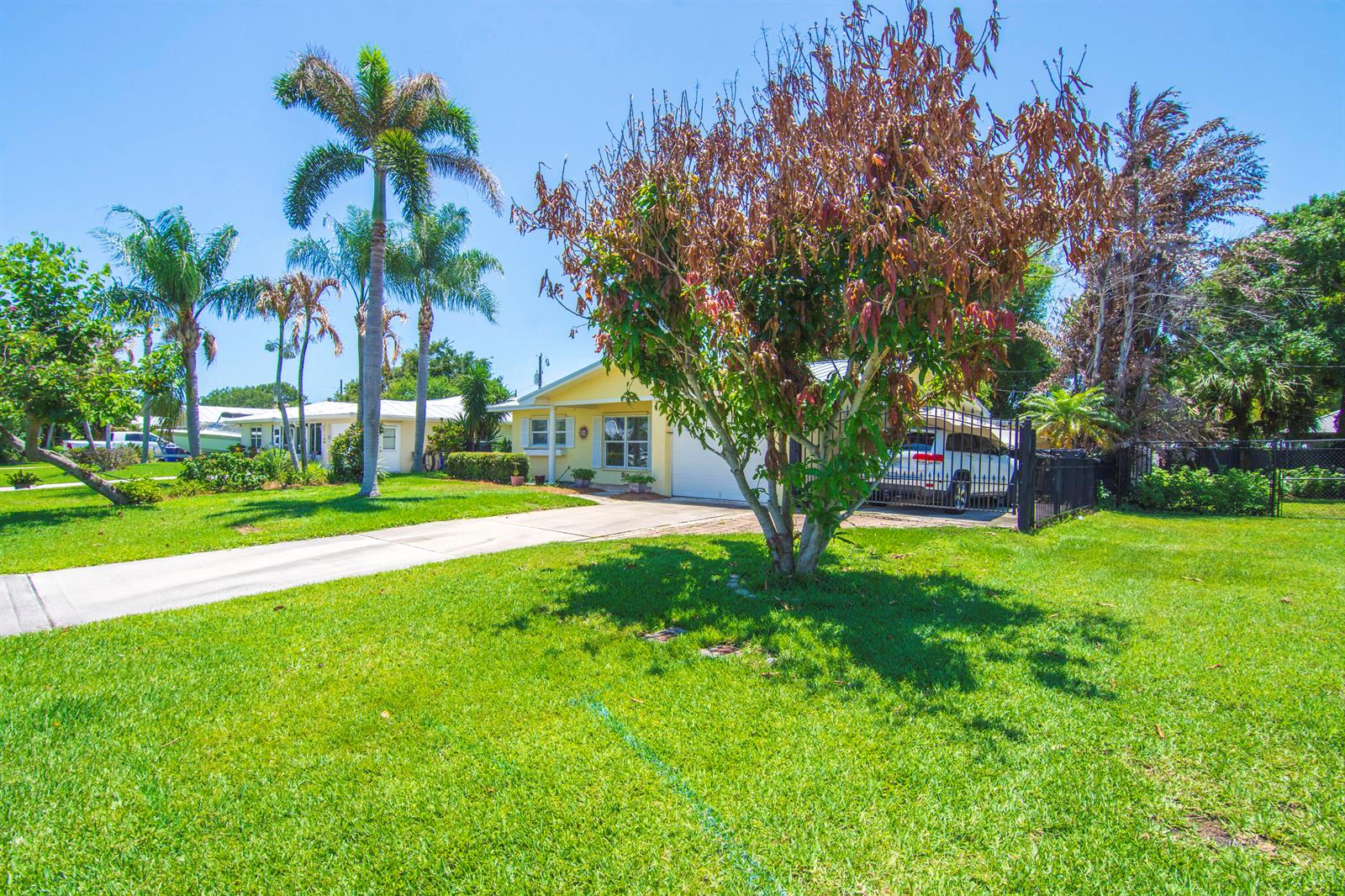 A yellow single-story house with a driveway, palm trees, and a large tree in front — 475 19th Place, Vero Beach FL 32960, VERO BEACH, FL