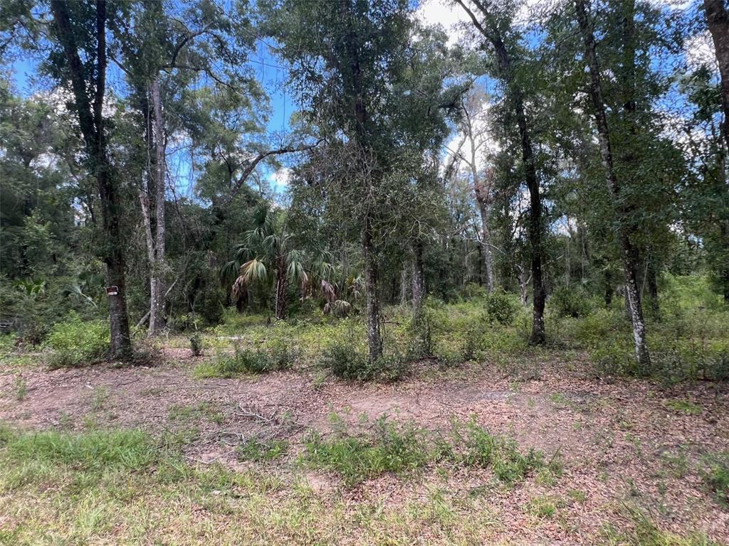 1628 E DERBY DRIVE, DUNNELLON, FL — photo 2 of 10