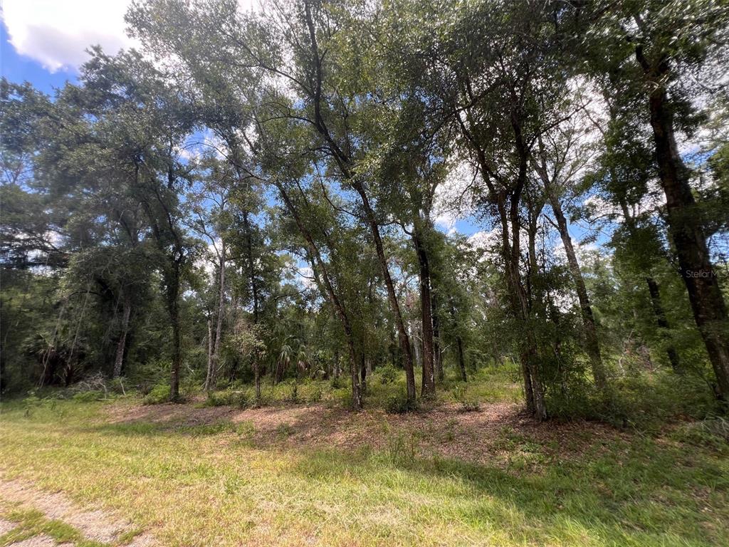 1628 E DERBY DRIVE, DUNNELLON, FL — photo 3 of 10