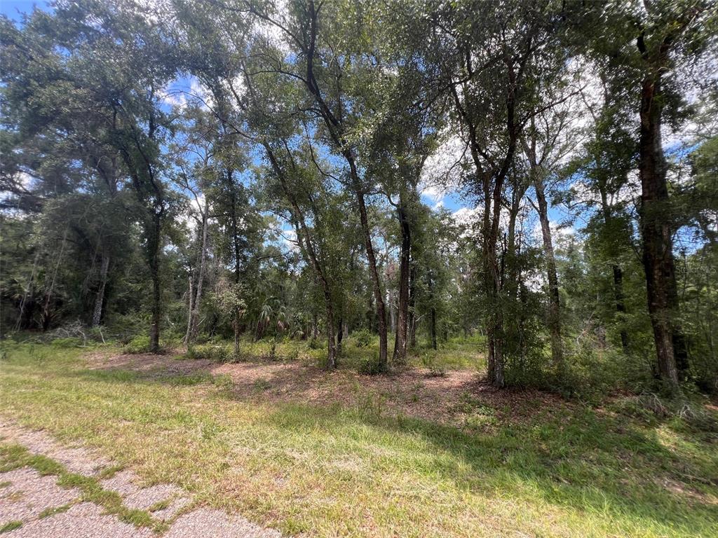 1628 E DERBY DRIVE, DUNNELLON, FL — photo 4 of 10