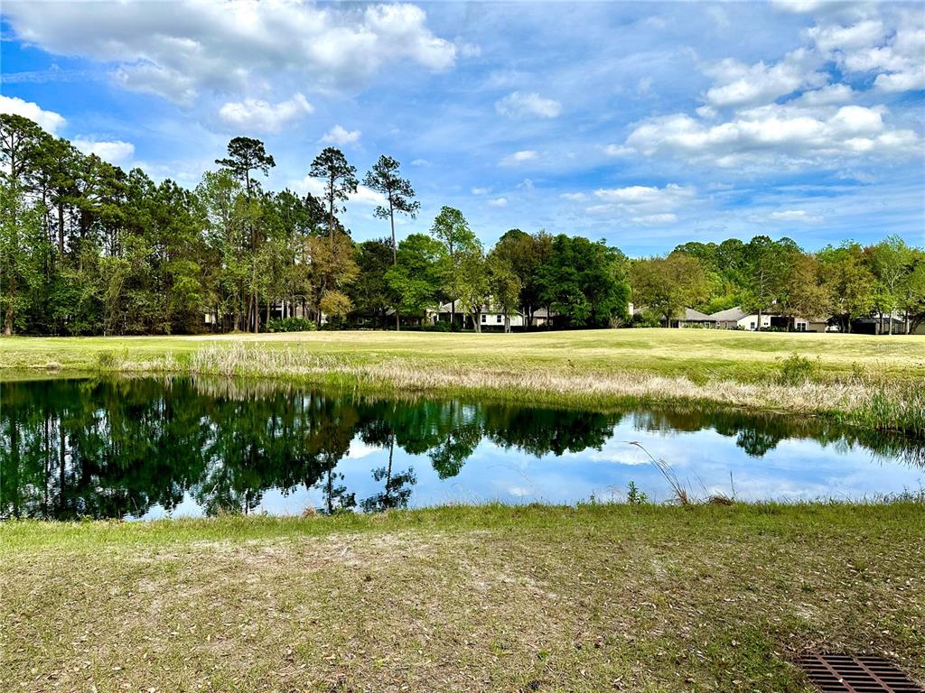 A pond sits in the foreground of a grassy field bordered by trees and houses — 85144 NAPEAGUE DRIVE, FERNANDINA BEACH, FL