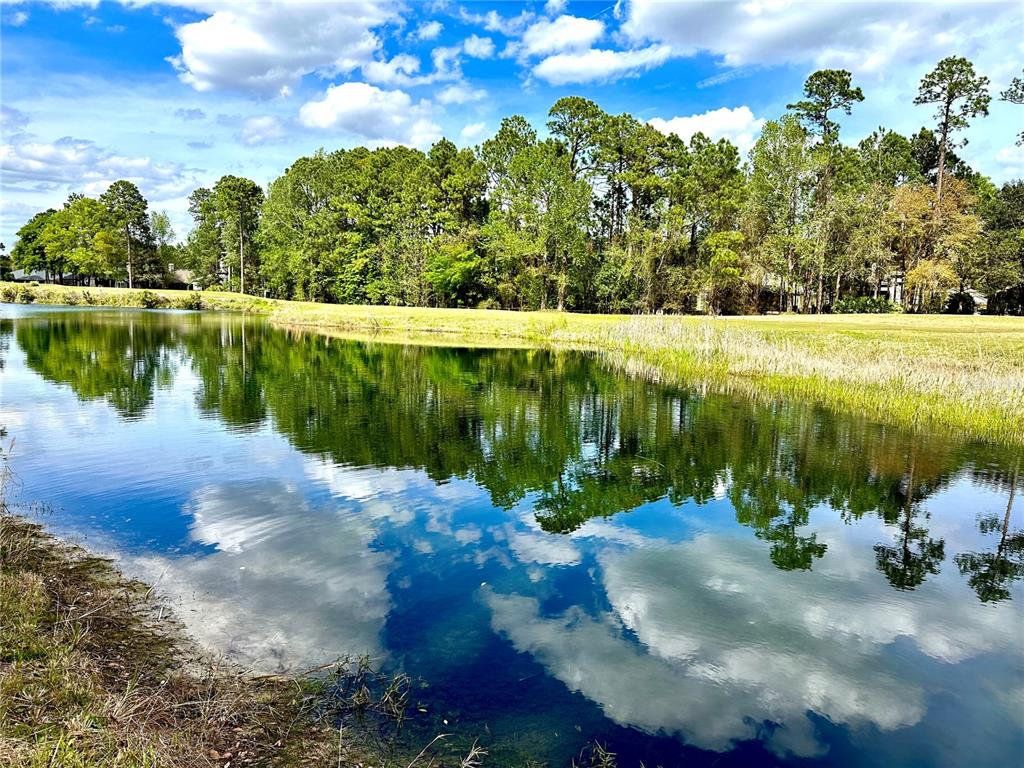 A calm pond reflects the surrounding trees and a blue sky with scattered white clouds — 85144 NAPEAGUE DRIVE, FERNANDINA BEACH, FL