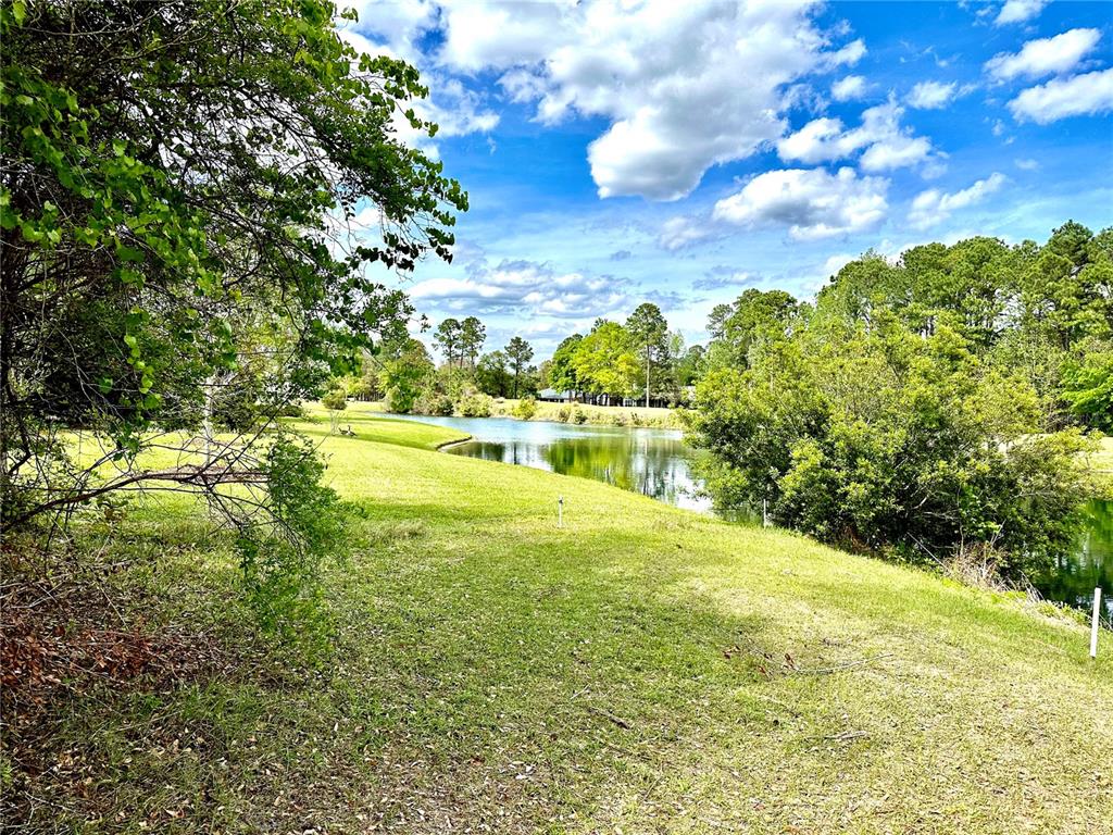 A grassy lawn slopes down toward a pond surrounded by trees under a cloudy sky — 85144 NAPEAGUE DRIVE, FERNANDINA BEACH, FL
