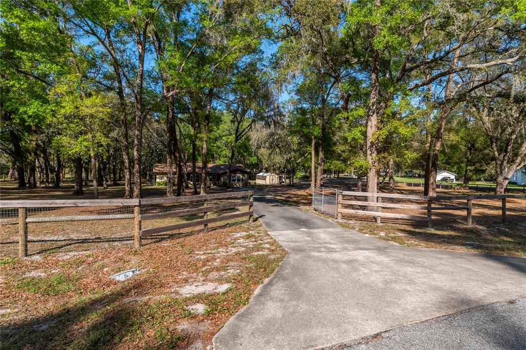 A paved driveway leads through a wooden fence toward a house surrounded by many trees — 3005 SE 160TH LANE ROAD, SUMMERFIELD, FL