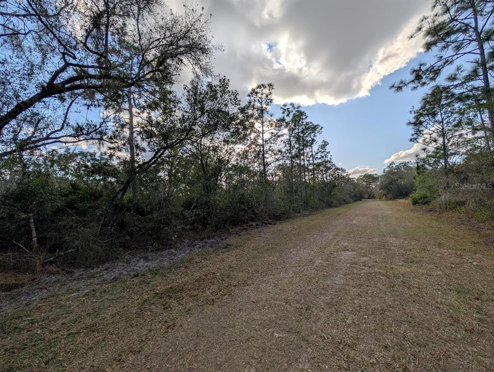 A grassy path leads through a wooded area under a cloudy sky — 1005 BOUGAINVILLE DRIVE, INDIAN LAKE ESTATES, FL