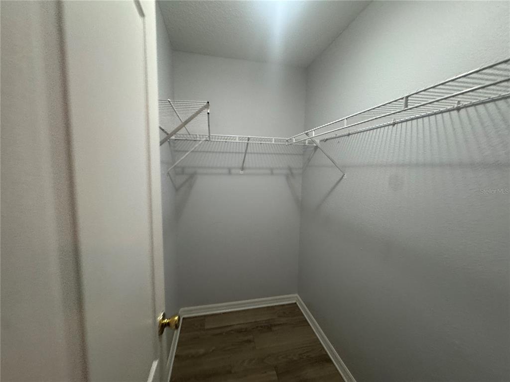 A walk-in closet features white wire shelving, light gray walls, and wood-look flooring — 3607 W IDLEWILD AVENUE UNIT 501, TAMPA, FL