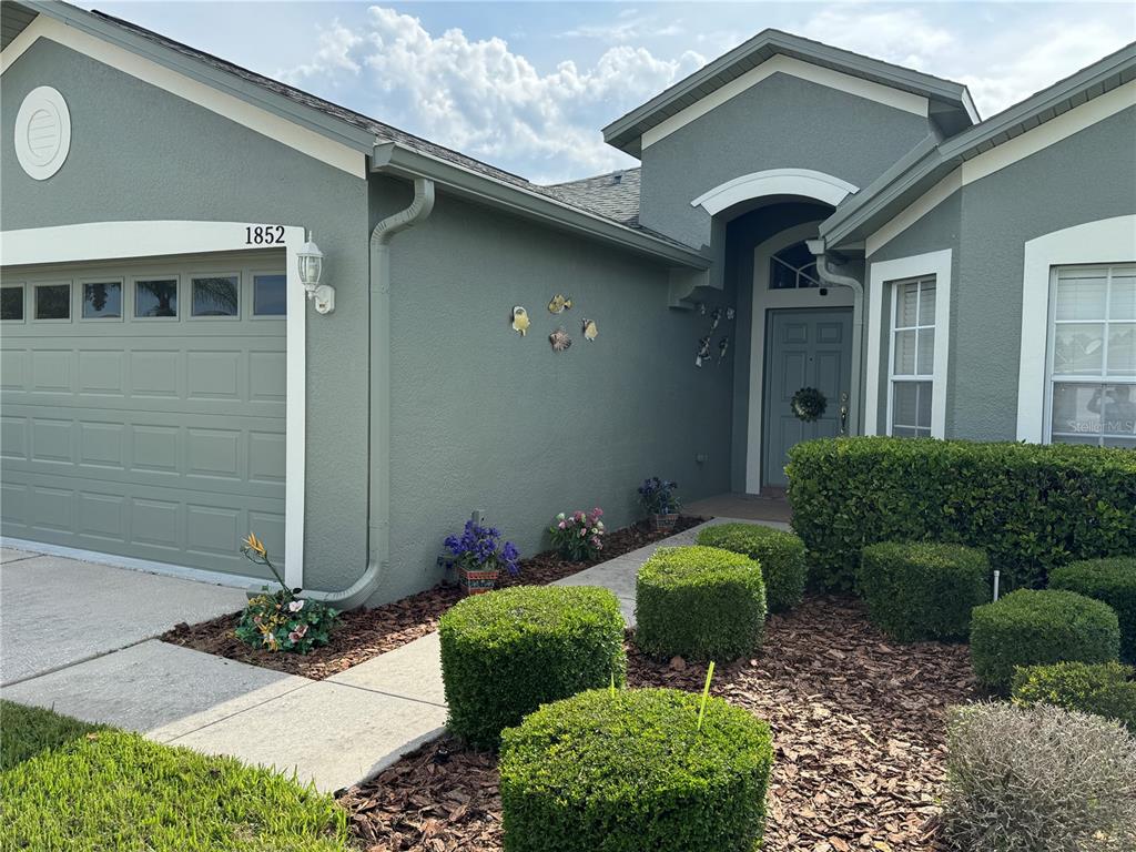 The exterior of a single-story house features green stucco walls, a garage, and landscaped bushes — 1852 ARBOR KNOLL LOOP, TRINITY, FL