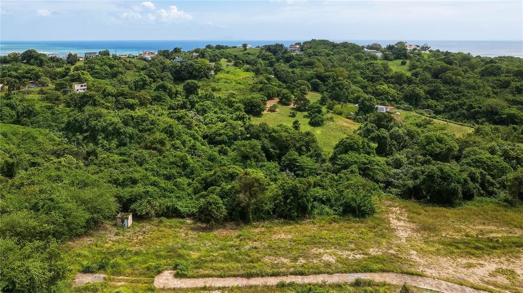 An aerial view shows a grassy lot leading into a dense, hilly forest near the ocean — Lots 8, 11, 11A, 11B, 11C CAMINO NUEVO, YABUCOA, PR