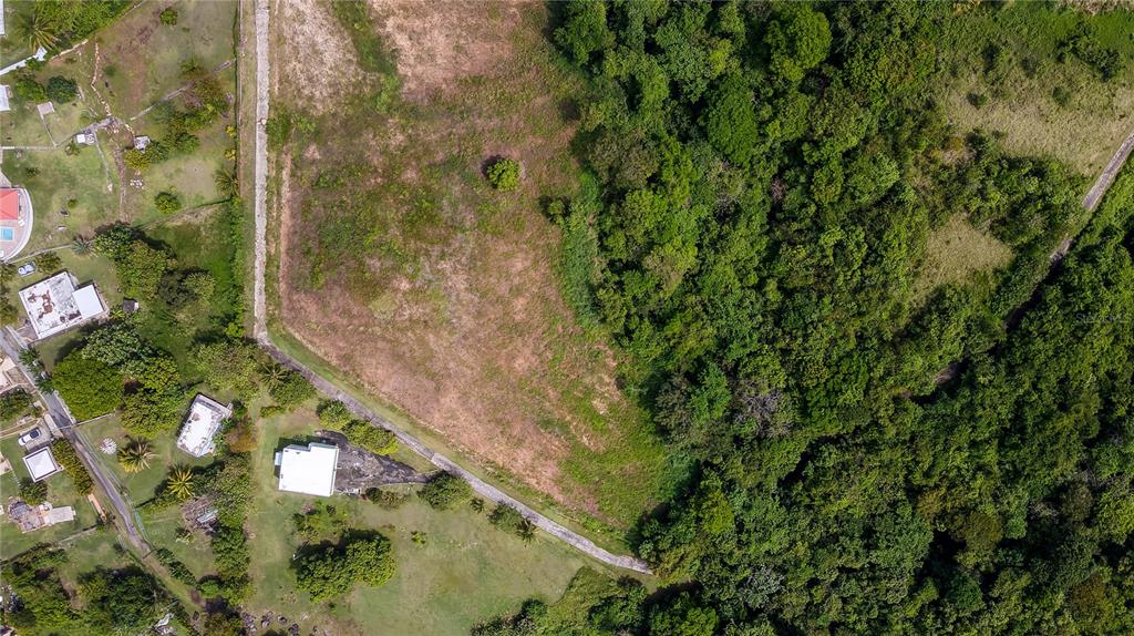 An aerial view shows a cleared, grassy lot bordered by a road and dense forest — Lots 8, 11, 11A, 11B, 11C CAMINO NUEVO, YABUCOA, PR