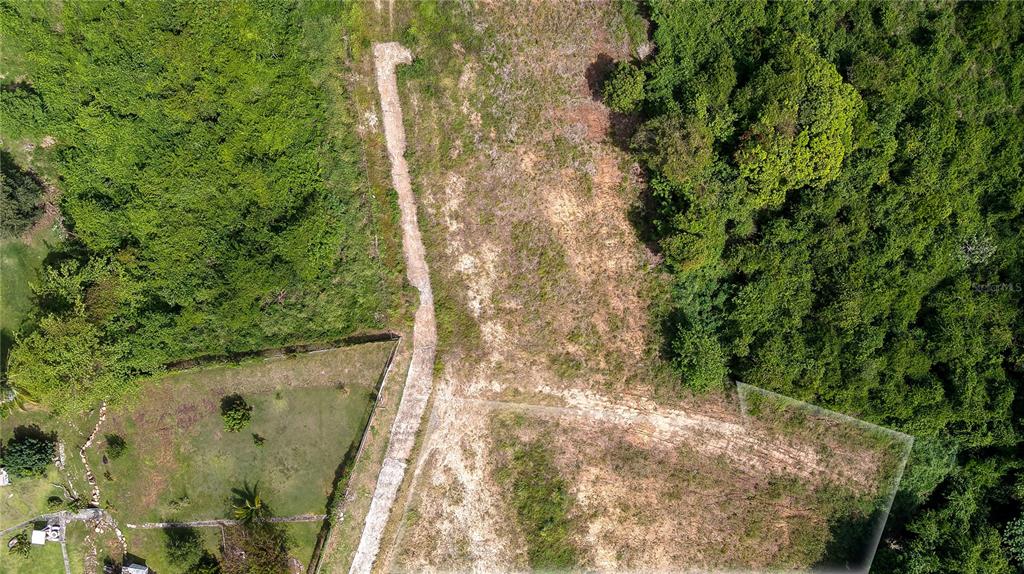 An aerial view shows a dirt path leading to a cleared, undeveloped plot of land — Lots 8, 11, 11A, 11B, 11C CAMINO NUEVO, YABUCOA, PR