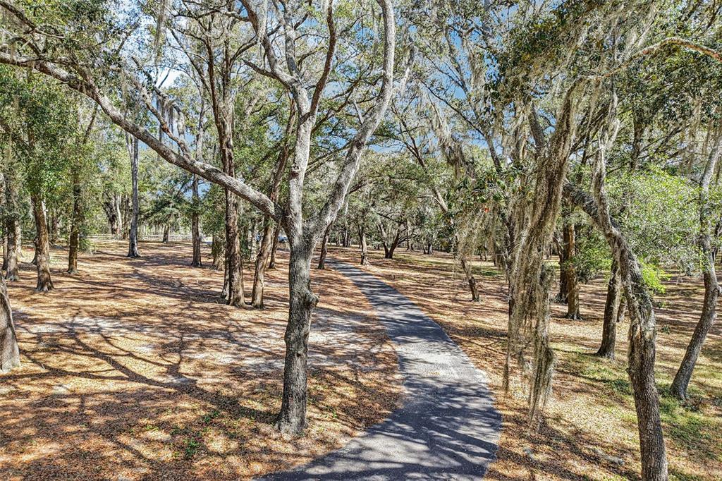 36530 LAZY B LANE, EUSTIS, FL — photo 2 of 30