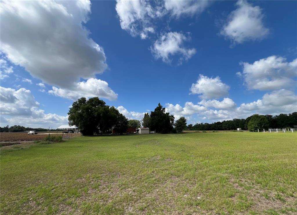 A grassy field with scattered trees and a small building under a cloudy blue sky — 13419 COCOPAH LANE, DOVER, FL