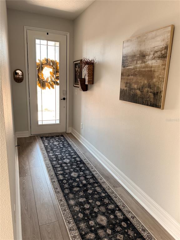 A hallway features light wood flooring, a long patterned runner rug, and wall-mounted decor — 12827 SW 61ST AVENUE, OCALA, FL