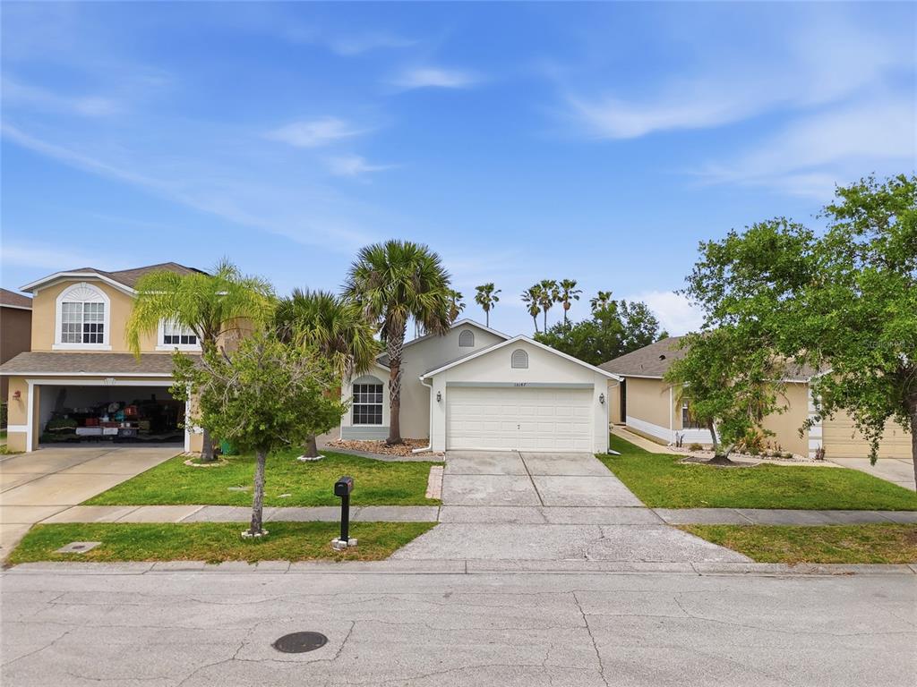 A street-level view of three suburban houses with driveways, lawns, and palm trees — 15187 HARROWGATE WAY, WINTER GARDEN, FL