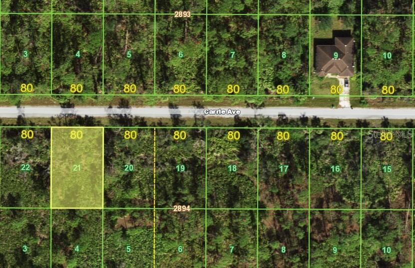 This is a map showing a highlighted vacant lot among other numbered parcels along a road — 13437 CARRIE AVENUE, PORT CHARLOTTE, FL