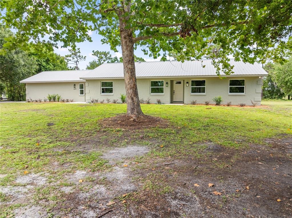 A single-story house with a light-colored exterior, metal roof, and a large tree in front — 4279 HENRY J AVE, ST CLOUD, FL