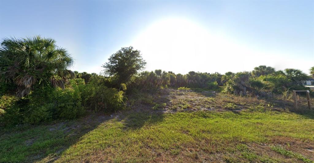 A vacant, grassy lot features scattered shrubs and palm trees under a bright, sunny sky — 10461 NEW BRITTAIN STREET, PORT CHARLOTTE, FL