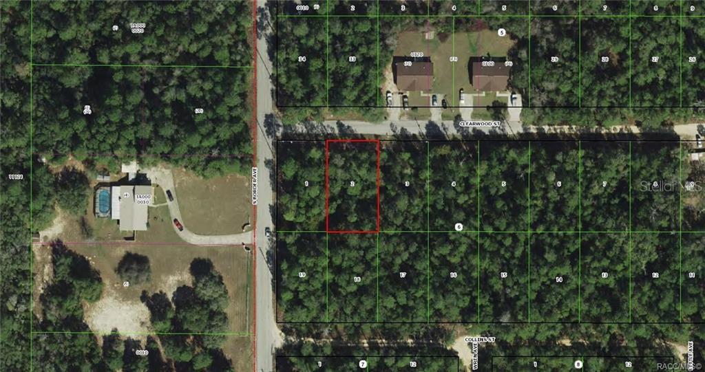 This is an aerial map showing a vacant, rectangular lot outlined in red — 3005 CLEARWOOD STREET, INVERNESS, FL