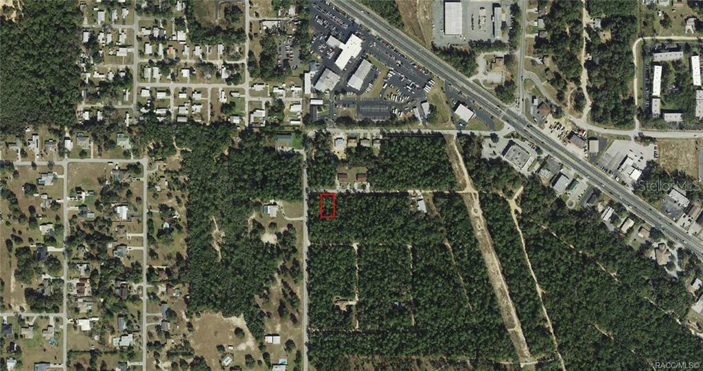 An aerial view shows a rectangular property lot outlined in red within a wooded area — 3005 CLEARWOOD STREET, INVERNESS, FL