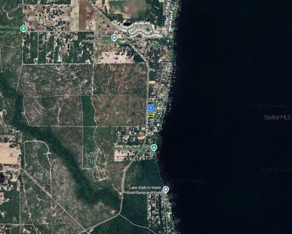 This is a satellite map view showing a property location along a lake and road — 4232 CHAMABERS STREET, LAKE WALES, FL