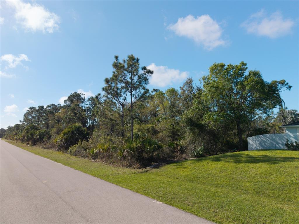 A paved road runs alongside a vacant, wooded lot with scattered trees and shrubs — Lot 6 SAWYER CIRCLE, NORTH PORT, FL