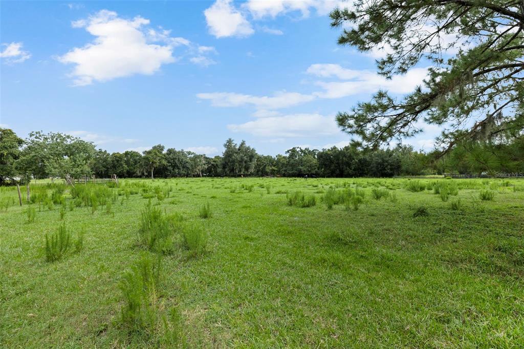 A large, grassy, open field is bordered by a line of trees under a blue sky — 6930 MUCK POND ROAD, SEFFNER, FL
