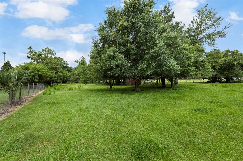 A grassy field features a large tree and a small shed under a cloudy sky — 6930 MUCK POND ROAD, SEFFNER, FL