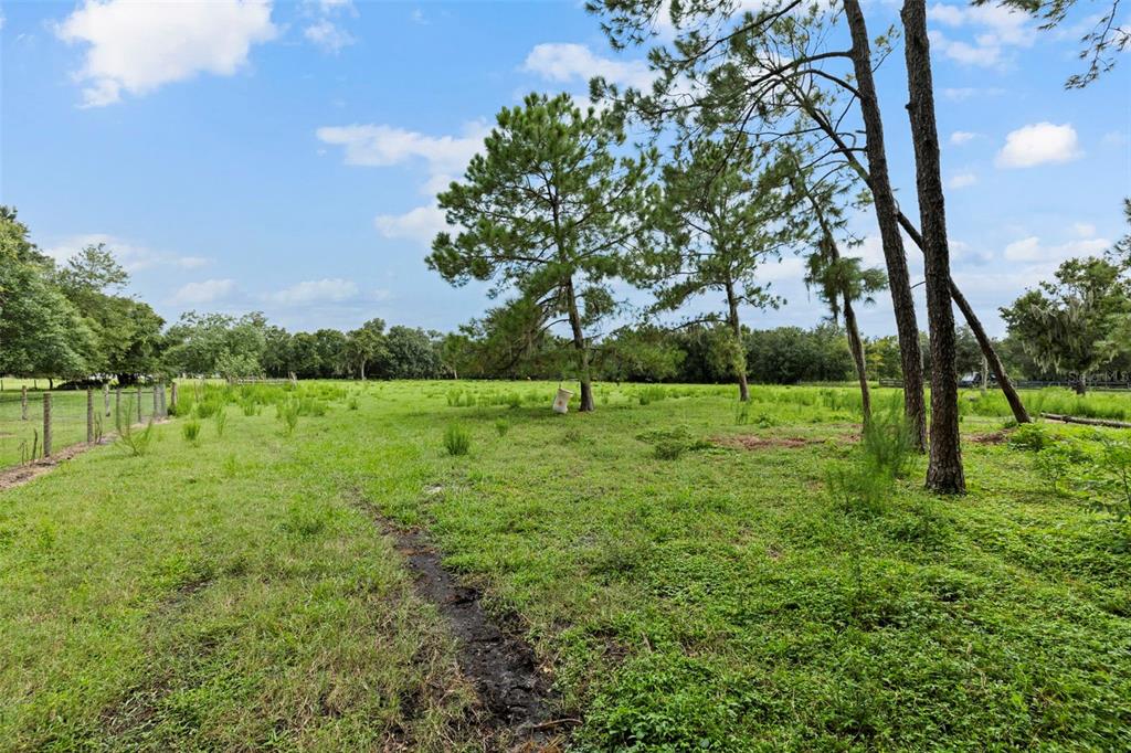 A grassy, open field features several pine trees and a wire fence on the left — 6930 MUCK POND ROAD, SEFFNER, FL
