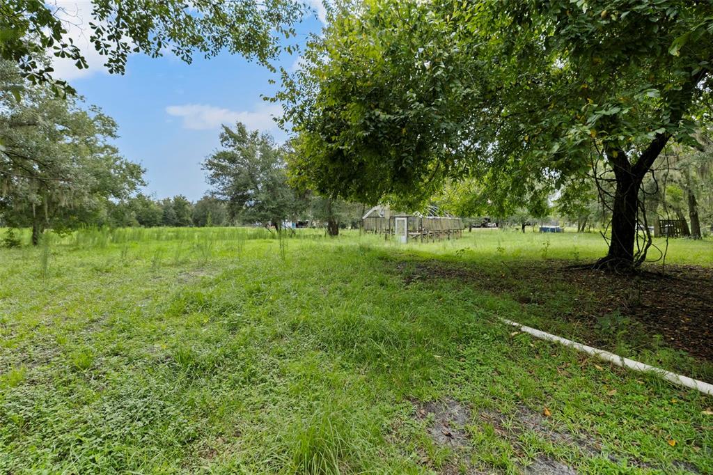 A grassy field with mature trees and a small greenhouse structure in the distance — 6930 MUCK POND ROAD, SEFFNER, FL