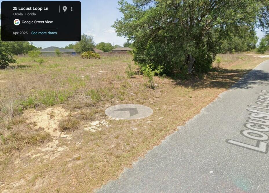 An empty, grassy residential lot with scattered trees and shrubs borders a paved road — 0 Locust Loop Lane, Ocala FL 34472, OCALA, FL