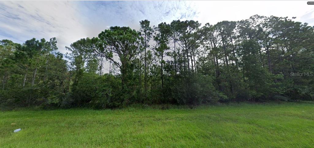 DILL ROAD, ORLANDO, FL — photo 2 of 2