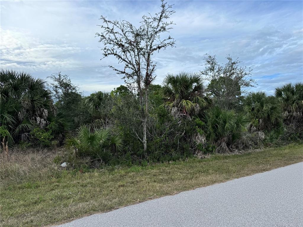 A paved road runs alongside a vacant, wooded lot filled with trees and palmettos — 9267 IMPALA CIRCLE, PORT CHARLOTTE, FL