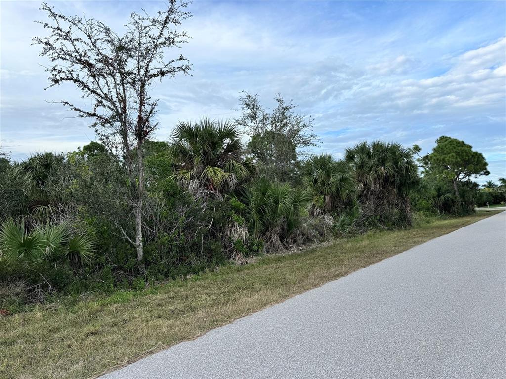 A paved road runs alongside a vacant, heavily wooded lot with various palms and trees — 9267 IMPALA CIRCLE, PORT CHARLOTTE, FL