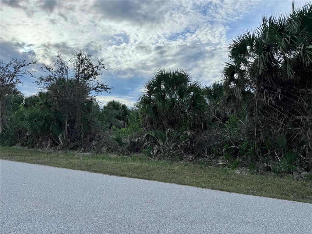 A paved road runs alongside a dense, wooded lot filled with palm trees and brush — 9267 IMPALA CIRCLE, PORT CHARLOTTE, FL