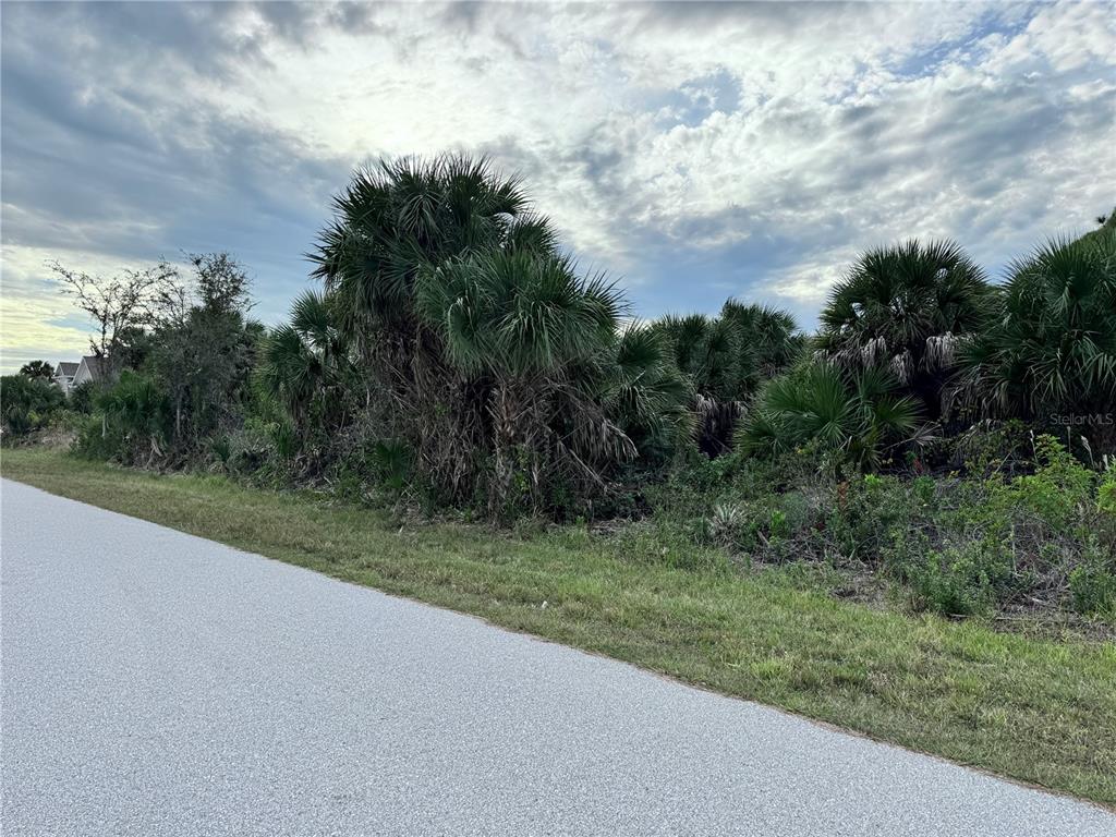 A paved road runs alongside a dense, overgrown lot filled with palm trees and shrubs — 9267 IMPALA CIRCLE, PORT CHARLOTTE, FL