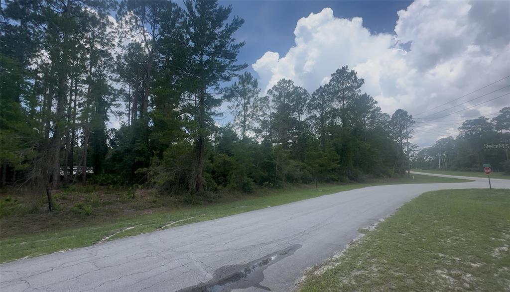 A paved road curves past a wooded lot under a cloudy sky — 107 S GEORGETOWN POINT ROAD, GEORGETOWN, FL