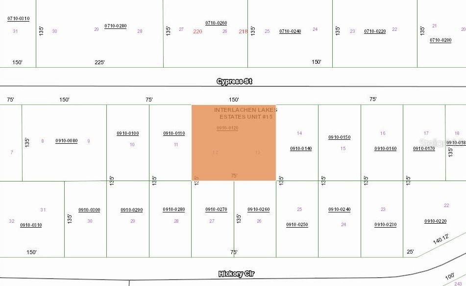 This image is a plat map showing property lot lines and parcel numbers — 217 CYPRESS STREET, INTERLACHEN, FL