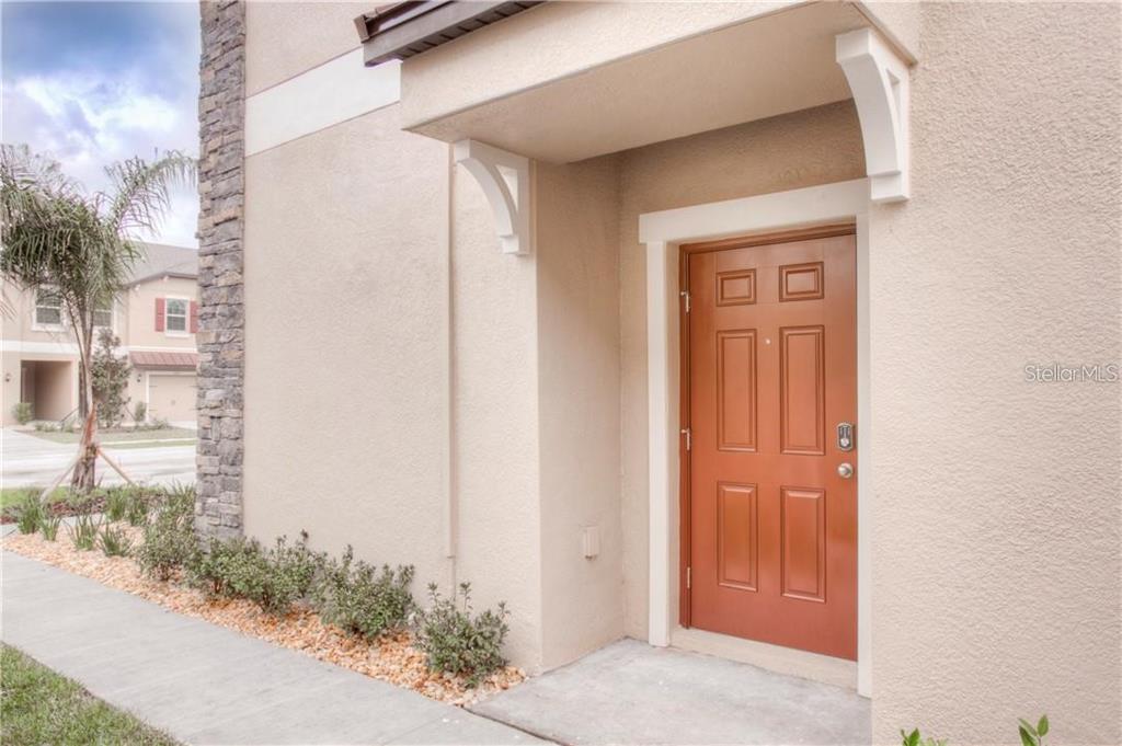 A tan exterior wall features a brown six-panel front door under a small covered entryway — 11646 CASTINE STREET, NEW PORT RICHEY, FL
