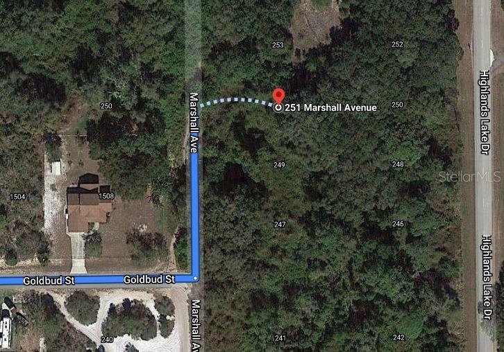 This is a satellite map view showing a wooded lot and surrounding street layout — 251 MARSHALL AVENUE, LAKE PLACID, FL