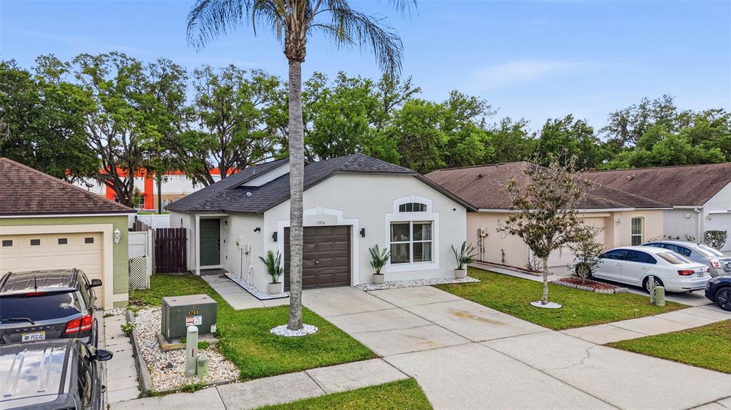 A single-story house with a brown garage, white stucco exterior, and a palm tree out front — 5916 LAKE FRONT DRIVE, WESLEY CHAPEL, FL