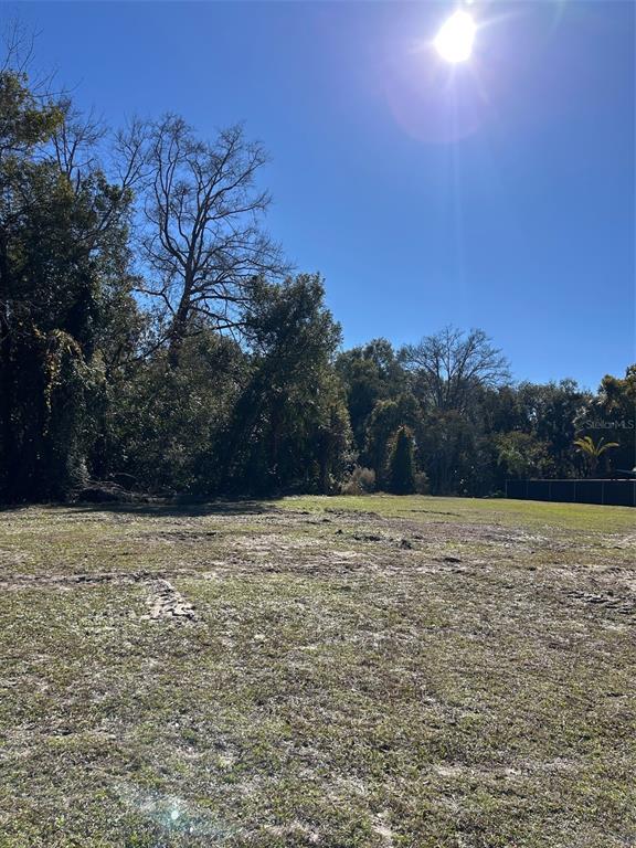 A wide, cleared grassy lot is bordered by mature trees under a bright sunny sky — 751 W PENNSYLVANIA AVENUE, LAKE HELEN, FL