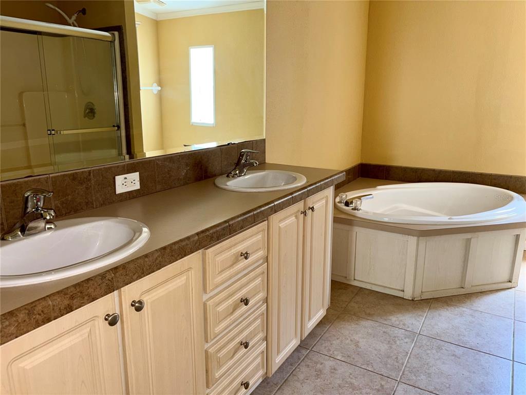A bathroom features a double vanity with light wood cabinets and a corner soaking tub — 19112 IVERSON ROAD, LUTZ, FL