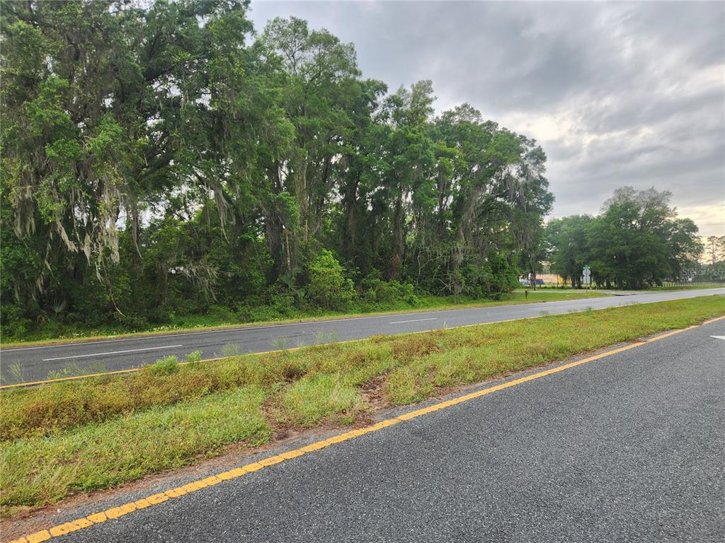 A paved road runs alongside a wooded lot with tall trees under a cloudy sky — 00 SE HWY 484, SUMMERFIELD, FL