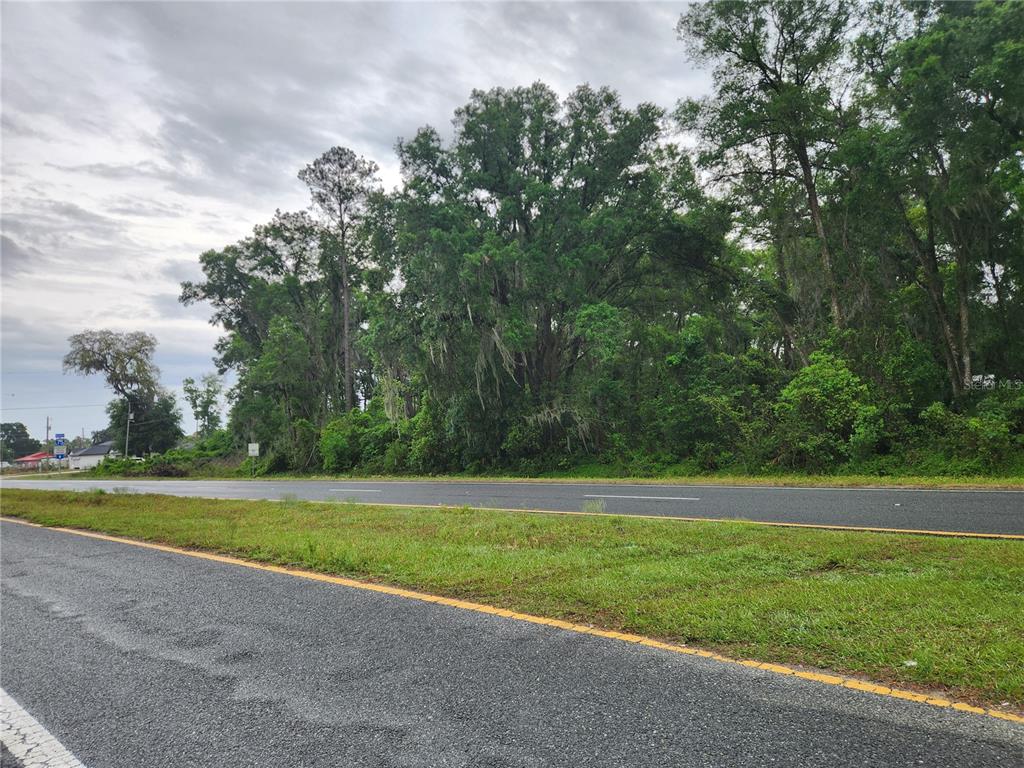 A paved road runs in front of a densely wooded lot under a cloudy sky — 00 SE HWY 484, SUMMERFIELD, FL