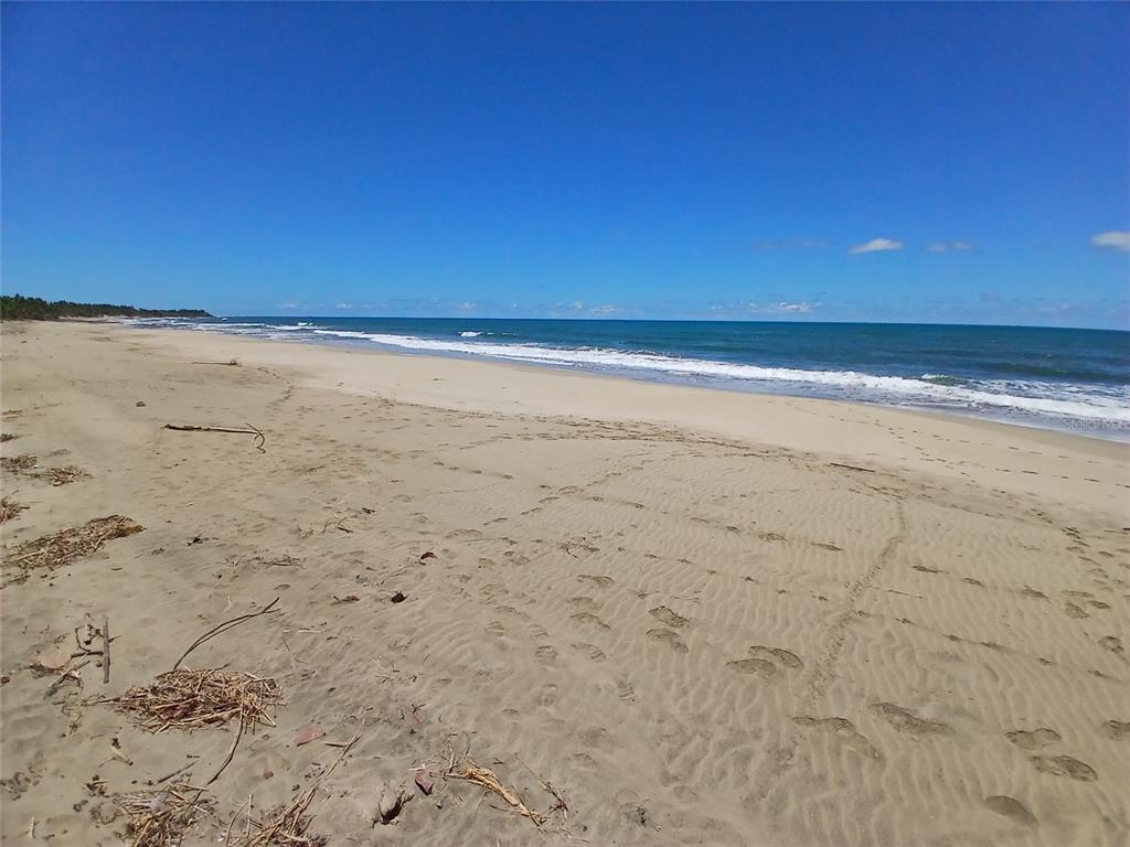 A wide, sandy beach stretches along the ocean under a clear blue sky — 15.5 CARRETERA 681 KM.HM 15.5, BARCELONETA, PR