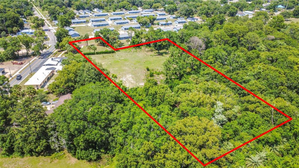An aerial view shows a large, rectangular vacant lot outlined in red amidst dense trees — PALMETTO STREET, EUSTIS, FL