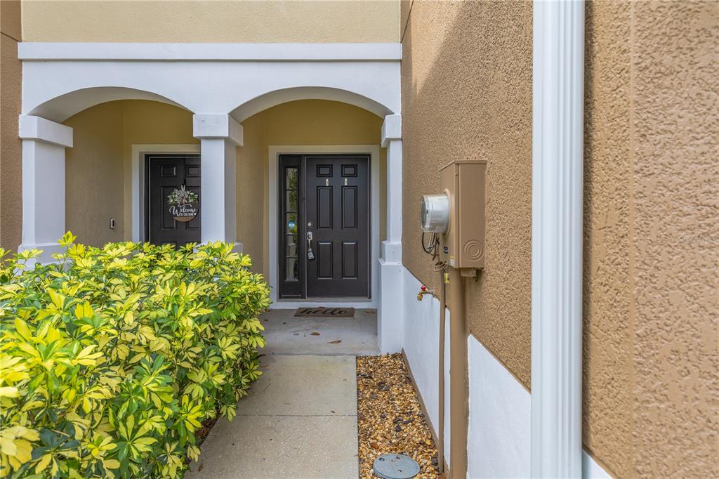 A concrete walkway leads to the dark front door of a home with stucco walls — 10135 POST HARVEST DRIVE, RIVERVIEW, FL
