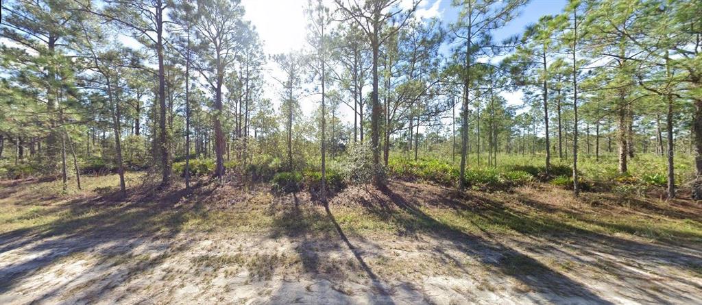 A sandy, undeveloped lot with pine trees and low-lying vegetation under a bright sky — 703 ALBA DRIVE, INDIAN LAKE ESTATES, FL